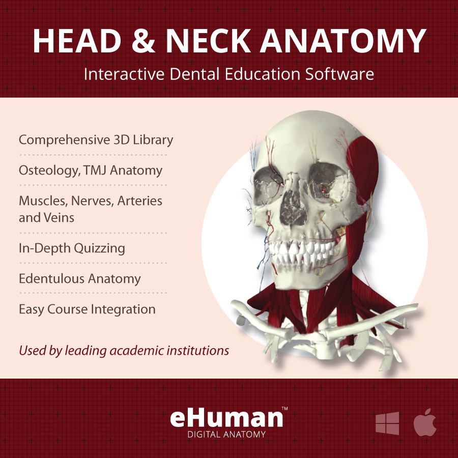 Head & Neck Anatomy 2
