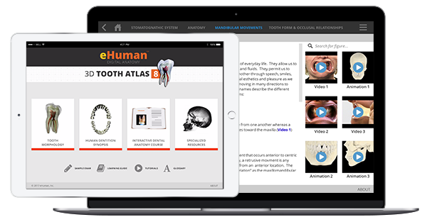 human anatomy atlas for windows desktop torrent